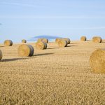 Spinning Straw into Gold - Monday 24th February 2014, 7pm