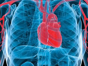 Sudden Death: Getting to the Heart of the Causes