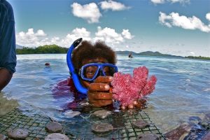 A diver from the Solomon Islands harvesting a small amount of coral